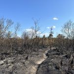 everglades-mayo-2023-taquechel-3