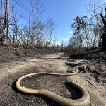 everglades-mayo-2023-taquechel-4
