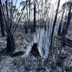 everglades-mayo-2023-taquechel-7