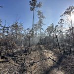 everglades-mayo-2023-taquechel-9