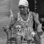perros-cubanos-j-bonet-5