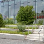 16 Roosevelt Island