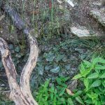 Castillos de Lawton11
