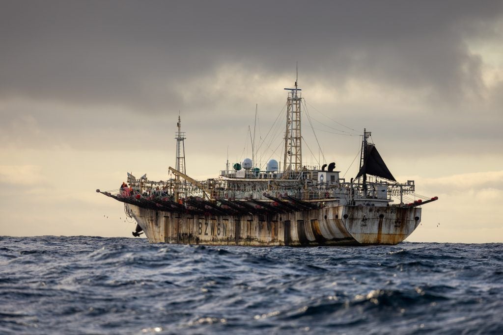 El Zhe Pu Yuan 98 es un barco calamarero que también funciona como hospital flotante. Cerca de Galápagos. / Foto: The Outlaw Ocean Project/Ben Blankenship (9 de julio 2022)