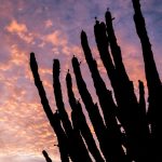 La Guajira, Colombia-Linda Esperanza Aragón-2