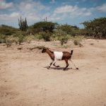 La Guajira, Colombia-Linda Esperanza Aragón-8