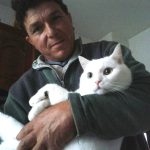 Luis