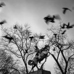 01-Central Park_NY