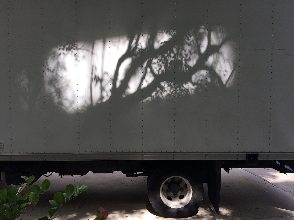 Ramón Williams. Trace Crop Off: Cast on Wheels.