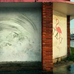 08-Flamingo-Trace-Ramón Williams