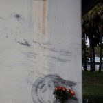 09-Flowers-Ramón Williams