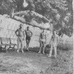 lino_curandero_fuerza