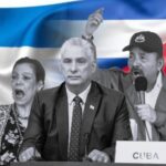 ley_ciudadania