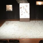 ‘El Abismo de los pájaros’ (escenografía); La Mama, 2018