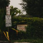 Ernos Naveda 5