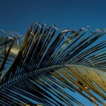 San Bernardo del Viento-LEA-9