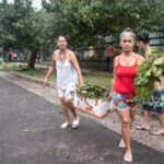 Ciclón Rafael-Cerro, La Habana (MV)-1