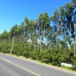La ruta-Uruguay-HNT