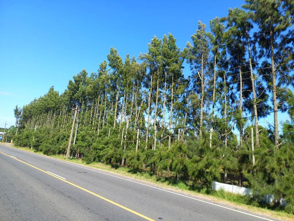 La ruta; Uruguay