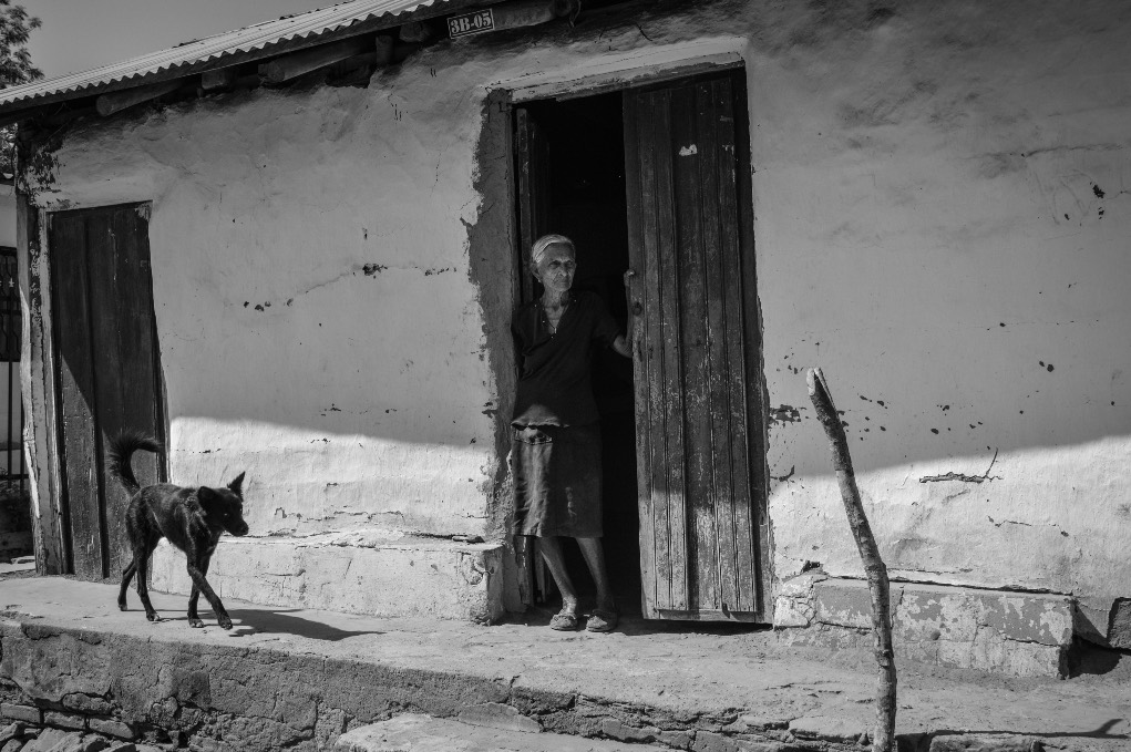 Linda Esperanza Aragón. Las estacas.