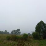 Pampa-Uruguay-HNT