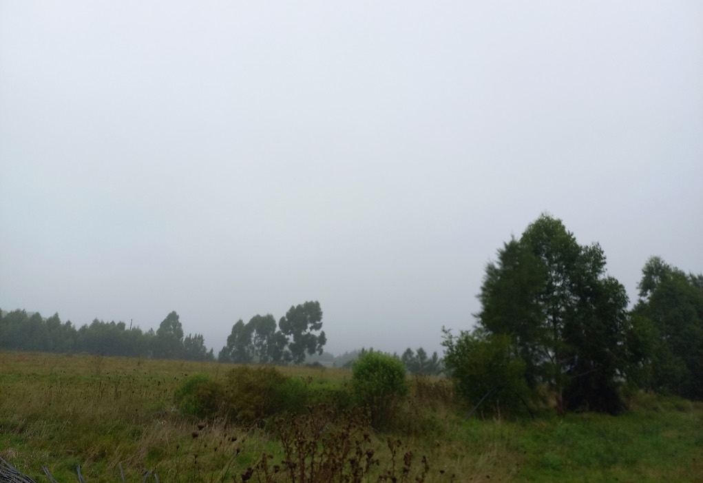 La pampa; Uruguay