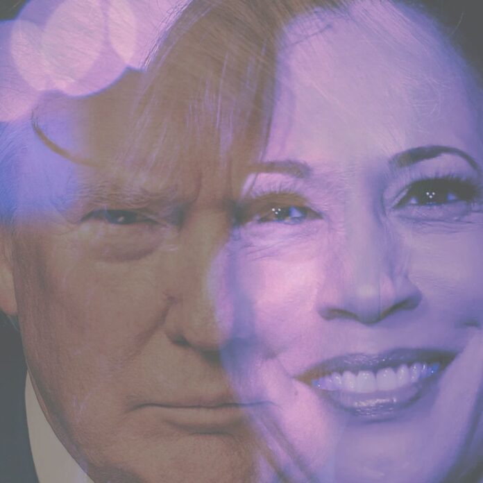Son las jornadas finales de la campaña electoral en Estados Unidos y no hay un favorito claro entre dos contendientes, Donald Trump y Kamala Harris / Imagen: El Estornudo