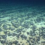 Deep sea nodules on the ocean floor – courtesy of NOAA DeepCCZ Project