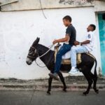 Celebrar al burro-12