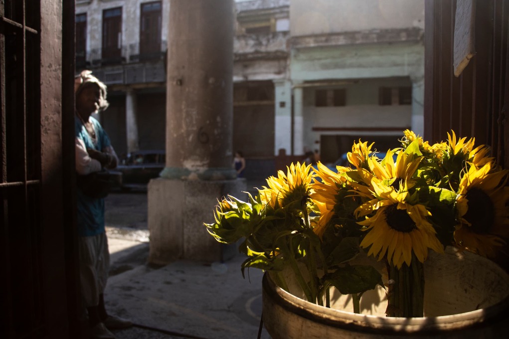 Marcel Villa. La Habana habla en colores.