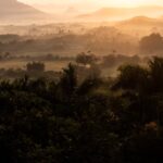 Acuáticos, Viñales-Marcel Villa-12