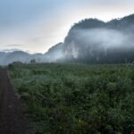 Acuáticos, Viñales-Marcel Villa-7