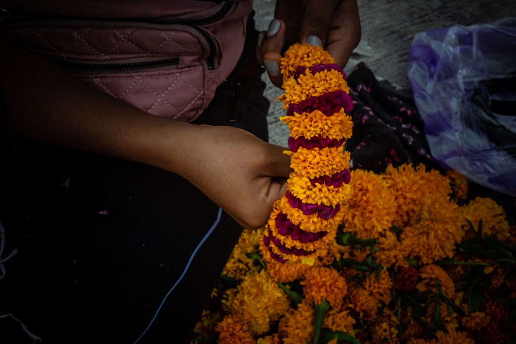 Día de Muertos, 2024. Oaxaca, México