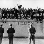 freedom