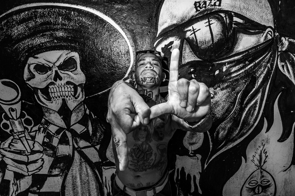 De ‘Cholos, chicanos y pachucos’; Pável Vélez