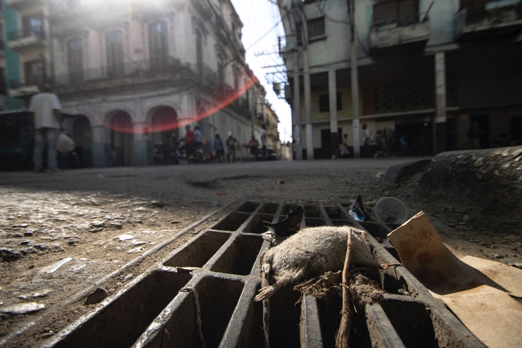 Alcantarilla. La Habana, 2026