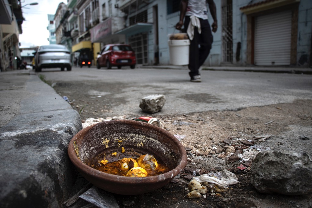 Ofrenda. La Habana, 2026