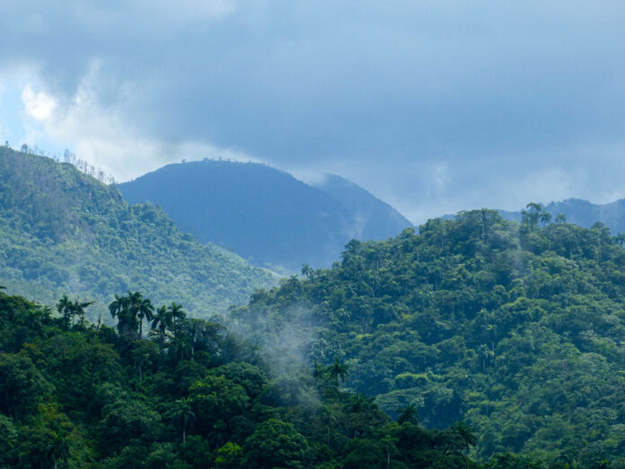 Imagen de la Sierra Maestra / Foto: Noha Benavent