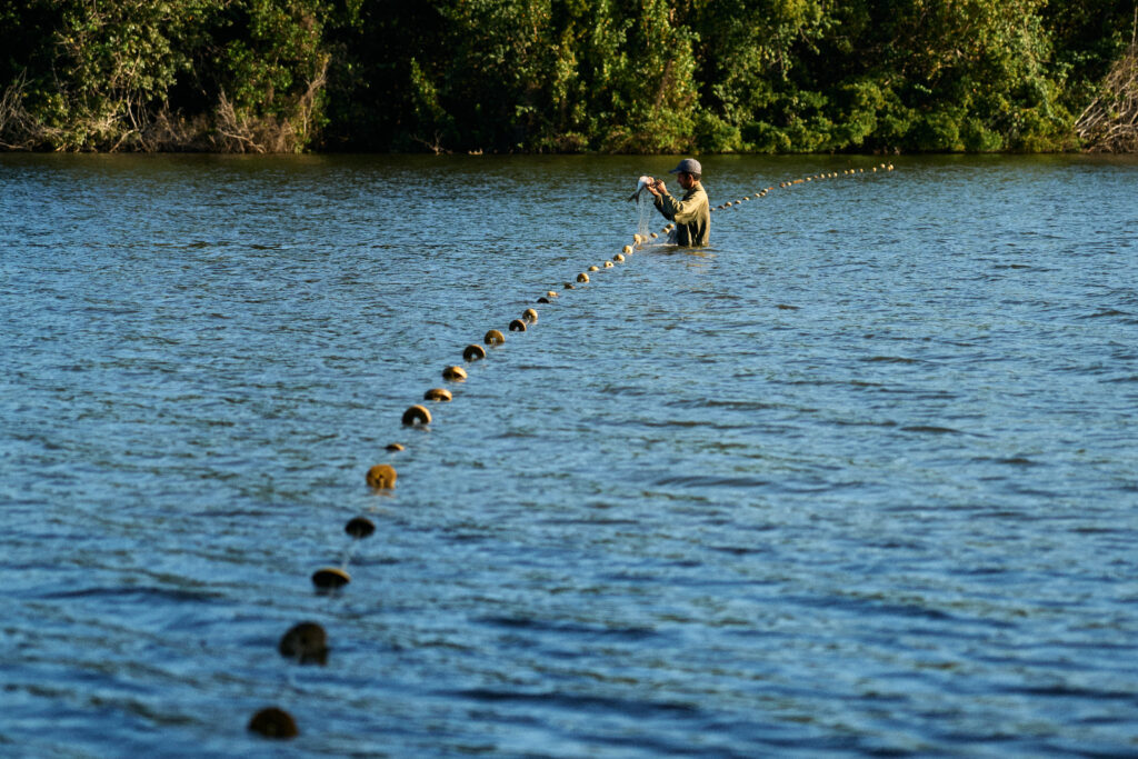 ulogio revisa la malla para sacar los peces que atrapados